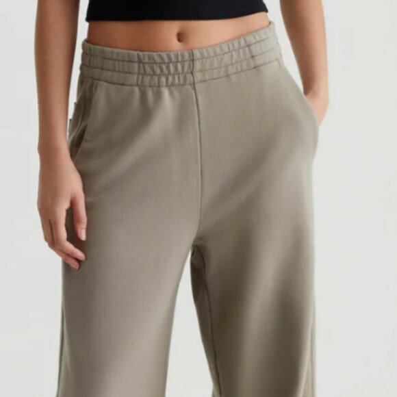 Adriano Goldschmied AG Womens Renee Sweatpants Relaxed Wide Leg Pants, M - Picture 1 of 11
